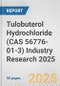 Tulobuterol Hydrochloride (CAS 56776-01-3) Industry Research 2025: Global and Regional Market Trends 2019-2024 and Forecast to 2029 - Product Thumbnail Image