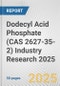 Dodecyl Acid Phosphate (CAS 2627-35-2) Industry Research 2025: Global and Regional Market Trends 2019-2024 and Forecast to 2029 - Product Thumbnail Image