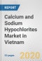 Calcium and Sodium Hypochlorites Market in Vietnam: Business Report 2020 - Product Thumbnail Image