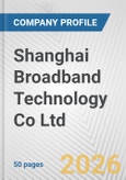 Shanghai Broadband Technology Co Ltd Fundamental Company Report Including Financial, SWOT, Competitors and Industry Analysis- Product Image