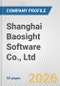 Shanghai Baosight Software Co., Ltd. Fundamental Company Report Including Financial, SWOT, Competitors and Industry Analysis - Product Thumbnail Image