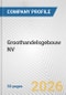 Groothandelsgebouw NV Fundamental Company Report Including Financial, SWOT, Competitors and Industry Analysis - Product Thumbnail Image
