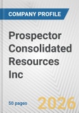 Prospector Consolidated Resources Inc. Fundamental Company Report Including Financial, SWOT, Competitors and Industry Analysis- Product Image