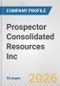 Prospector Consolidated Resources Inc. Fundamental Company Report Including Financial, SWOT, Competitors and Industry Analysis - Product Thumbnail Image