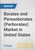 Borates and Peroxoborates (Perborates) Market in United States: Business Report 2024- Product Image