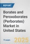 Borates and Peroxoborates (Perborates) Market in United States: Business Report 2025 - Product Image