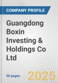 Guangdong Boxin Investing & Holdings Co Ltd. Fundamental Company Report Including Financial, SWOT, Competitors and Industry Analysis- Product Image