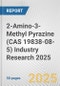 2-Amino-3-Methyl Pyrazine (CAS 19838-08-5) Industry Research 2025: Global and Regional Market Trends 2019-2024 and Forecast to 2029 - Product Image