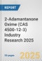 2-Adamantanone Oxime (CAS 4500-12-3) Industry Research 2025: Global and Regional Market Trends 2019-2024 and Forecast to 2029 - Product Thumbnail Image