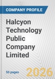 Halcyon Technology Public Company Limited Fundamental Company Report Including Financial, SWOT, Competitors and Industry Analysis- Product Image
