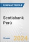 Scotiabank Perú Fundamental Company Report Including Financial, SWOT, Competitors and Industry Analysis - Product Thumbnail Image