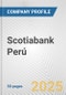 Scotiabank Perú Fundamental Company Report Including Financial, SWOT, Competitors and Industry Analysis - Product Thumbnail Image