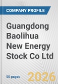 Guangdong Baolihua New Energy Stock Co Ltd Fundamental Company Report Including Financial, SWOT, Competitors and Industry Analysis- Product Image