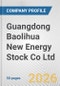 Guangdong Baolihua New Energy Stock Co Ltd Fundamental Company Report Including Financial, SWOT, Competitors and Industry Analysis - Product Thumbnail Image