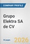 Grupo Elektra SA de CV Fundamental Company Report Including Financial, SWOT, Competitors and Industry Analysis - Product Thumbnail Image