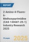 2-Amino-4-Fluoro-6-Methoxypyrimidine (CAS 130687-25-1) Industry Research 2025: Global and Regional Market Trends 2019-2024 and Forecast to 2029 - Product Thumbnail Image