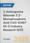 2-Aminopurine Riboside 3',5'-Monophosphoric Acid (CAS 42467-66-3) Industry Research 2025: Global and Regional Market Trends 2019-2024 and Forecast to 2029 - Product Image