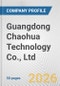 Guangdong Chaohua Technology Co., Ltd Fundamental Company Report Including Financial, SWOT, Competitors and Industry Analysis - Product Thumbnail Image