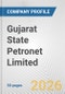 Gujarat State Petronet Limited Fundamental Company Report Including Financial, SWOT, Competitors and Industry Analysis - Product Thumbnail Image
