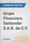 Grupo Financiero Santander S.A.B. de C.V Fundamental Company Report Including Financial, SWOT, Competitors and Industry Analysis - Product Thumbnail Image