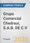 Grupo Comercial Chedraui, S.A.B. DE C.V. Fundamental Company Report Including Financial, SWOT, Competitors and Industry Analysis - Product Thumbnail Image