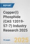 Copper(I) Phosphide (CAS 12019-57-7) Industry Research 2025: Global and Regional Market Trends 2019-2024 and Forecast to 2029 - Product Thumbnail Image