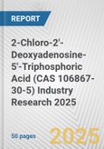 2-Chloro-2'-Deoxyadenosine-5'-Triphosphoric Acid (CAS 106867-30-5) Industry Research 2025: Global and Regional Market Trends 2019-2024 and Forecast to 2029- Product Image