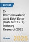 2-Bromoisovaleric Acid Ethyl Ester (CAS 609-12-1) Industry Research 2025: Global and Regional Market Trends 2019-2024 and Forecast to 2029 - Product Thumbnail Image