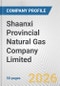 Shaanxi Provincial Natural Gas Company Limited Fundamental Company Report Including Financial, SWOT, Competitors and Industry Analysis - Product Thumbnail Image