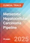 Metastatic Hepatocellular Carcinoma - Pipeline Insight, 2024 - Product Thumbnail Image