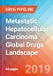 Metastatic Hepatocellular Carcinoma - Global API Manufacturers, Marketed and Phase III Drugs Landscape, 2019 - Product Thumbnail Image