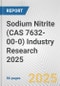 Sodium Nitrite (CAS 7632-00-0) Industry Research 2025: Global and Regional Market Trends 2019-2024 and Forecast to 2029 - Product Image