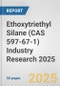 Ethoxytriethyl Silane (CAS 597-67-1) Industry Research 2025: Global and Regional Market Trends 2019-2024 and Forecast to 2029 - Product Thumbnail Image