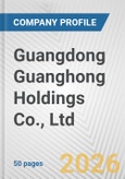 Guangdong Guanghong Holdings Co., Ltd. Fundamental Company Report Including Financial, SWOT, Competitors and Industry Analysis- Product Image