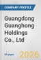 Guangdong Guanghong Holdings Co., Ltd. Fundamental Company Report Including Financial, SWOT, Competitors and Industry Analysis - Product Thumbnail Image