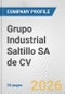 Grupo Industrial Saltillo SA de CV Fundamental Company Report Including Financial, SWOT, Competitors and Industry Analysis - Product Thumbnail Image