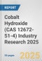 Cobalt Hydroxide (CAS 12672-51-4) Industry Research 2025: Global and Regional Market Trends 2019-2024 and Forecast to 2029 - Product Image