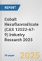 Cobalt Hexafluorosilicate (CAS 12022-67-9) Industry Research 2025: Global and Regional Market Trends 2019-2024 and Forecast to 2029 - Product Image