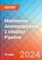 Methionine Aminopeptidase 2 (Metap2) Inhibitor - Pipeline Insight, 2024 - Product Thumbnail Image