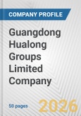 Guangdong Hualong Groups Limited Company Fundamental Company Report Including Financial, SWOT, Competitors and Industry Analysis- Product Image