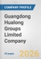 Guangdong Hualong Groups Limited Company Fundamental Company Report Including Financial, SWOT, Competitors and Industry Analysis - Product Thumbnail Image