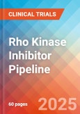 Rho Kinase (Rho-Associated Coiled-Coil Forming Protein Kinase or ROCK) Inhibitor - Pipeline Insight, 2024- Product Image