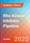 Rho Kinase (Rho-Associated Coiled-Coil Forming Protein Kinase or ROCK) Inhibitor - Pipeline Insight, 2024 - Product Image