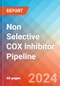 Non Selective COX Inhibitor - Pipeline Insight, 2024 - Product Thumbnail Image