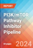 PI3K/mTOR Pathway Inhibitor - Pipeline Insight, 2024- Product Image