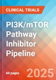 PI3K/mTOR Pathway Inhibitor - Pipeline Insight, 2024- Product Image