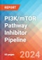 PI3K/mTOR Pathway Inhibitor - Pipeline Insight, 2022 - Product Image