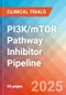 PI3K/mTOR Pathway Inhibitor - Pipeline Insight, 2024 - Product Image