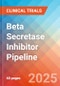 Beta Secretase Inhibitor - Pipeline Insight, 2024 - Product Image