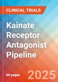 Kainate Receptor Antagonist - Pipeline Insight, 2024- Product Image